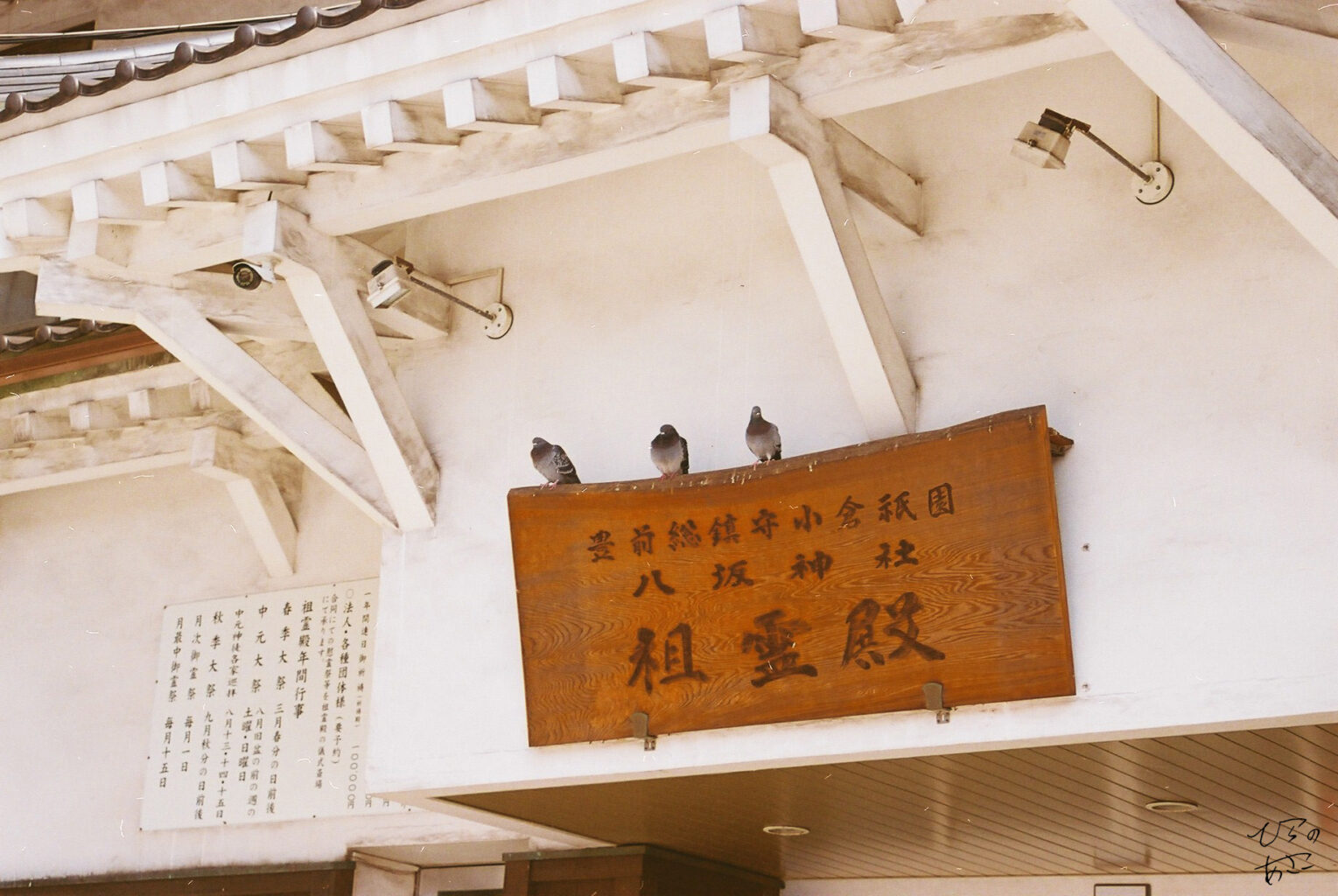 八坂神社(フィルム)