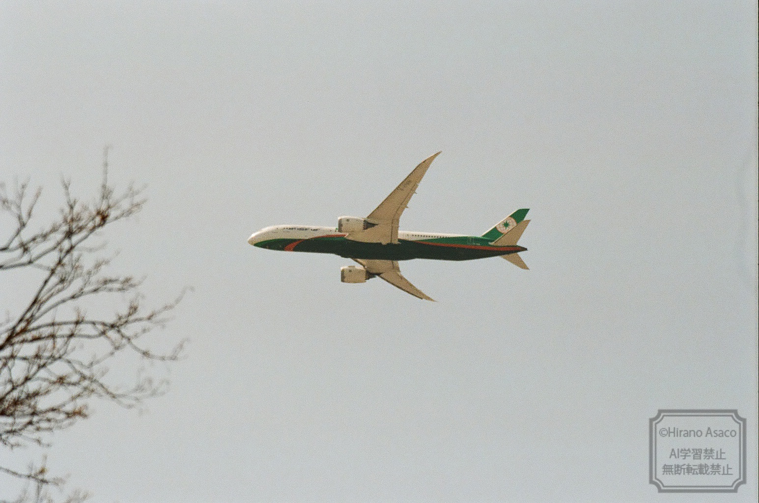 大きい飛行機が天神上空に。