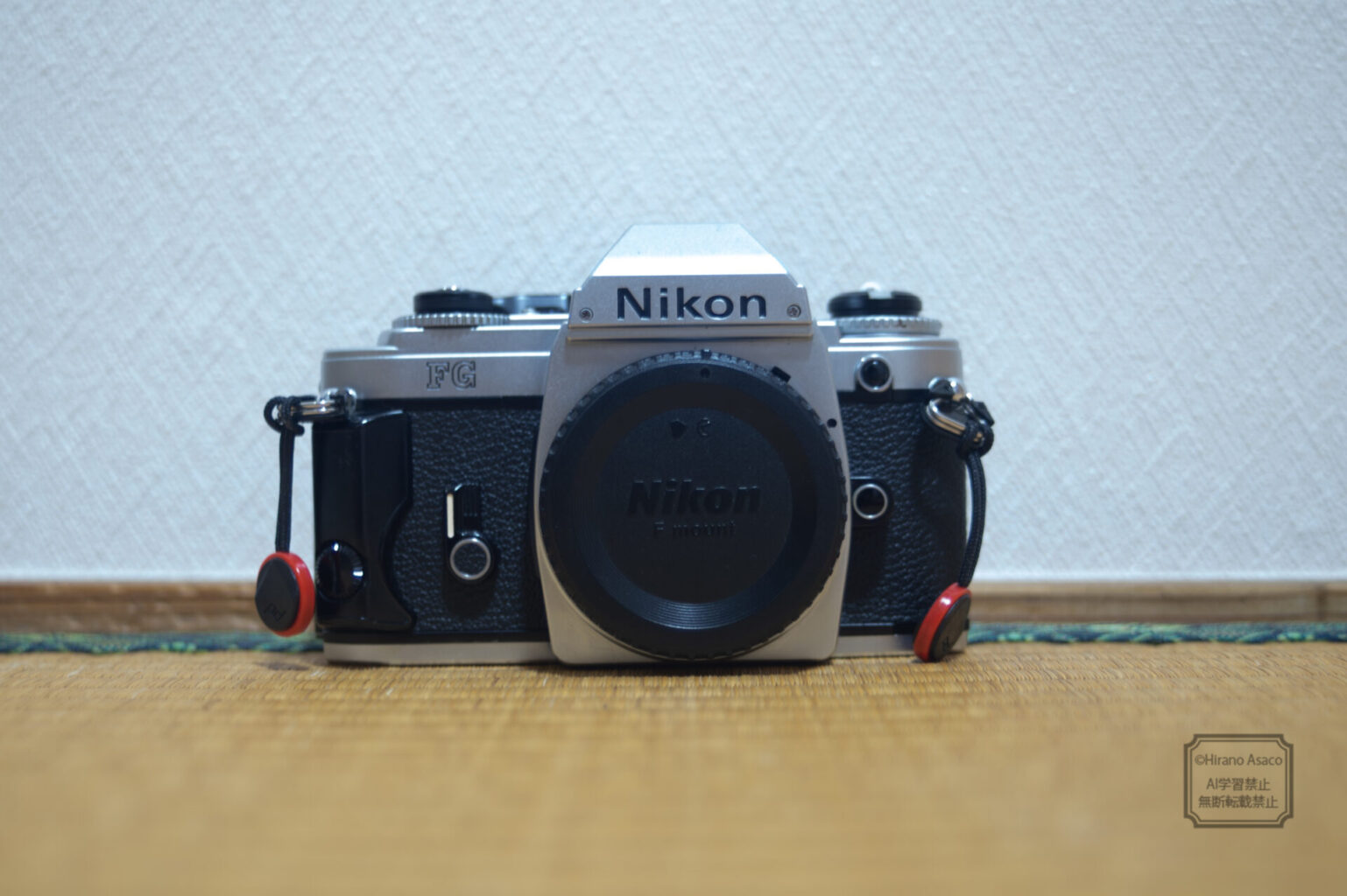 NikonFG