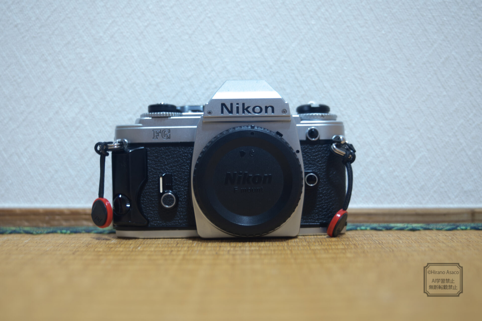 NikonFG