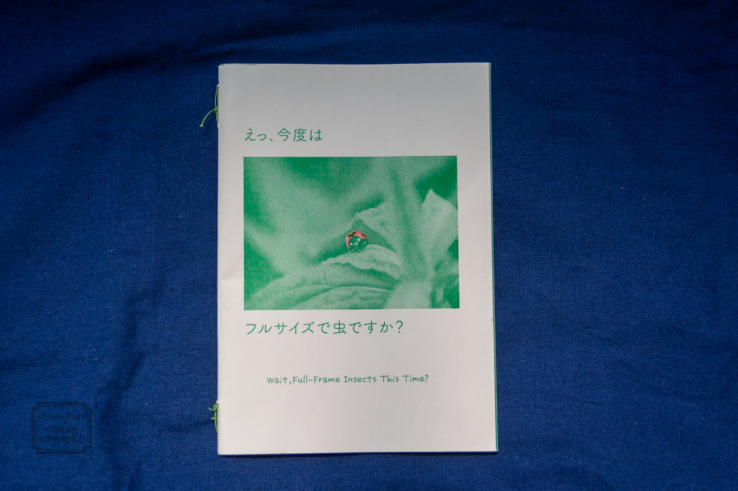 ZINEフルサイズで虫ですか？
