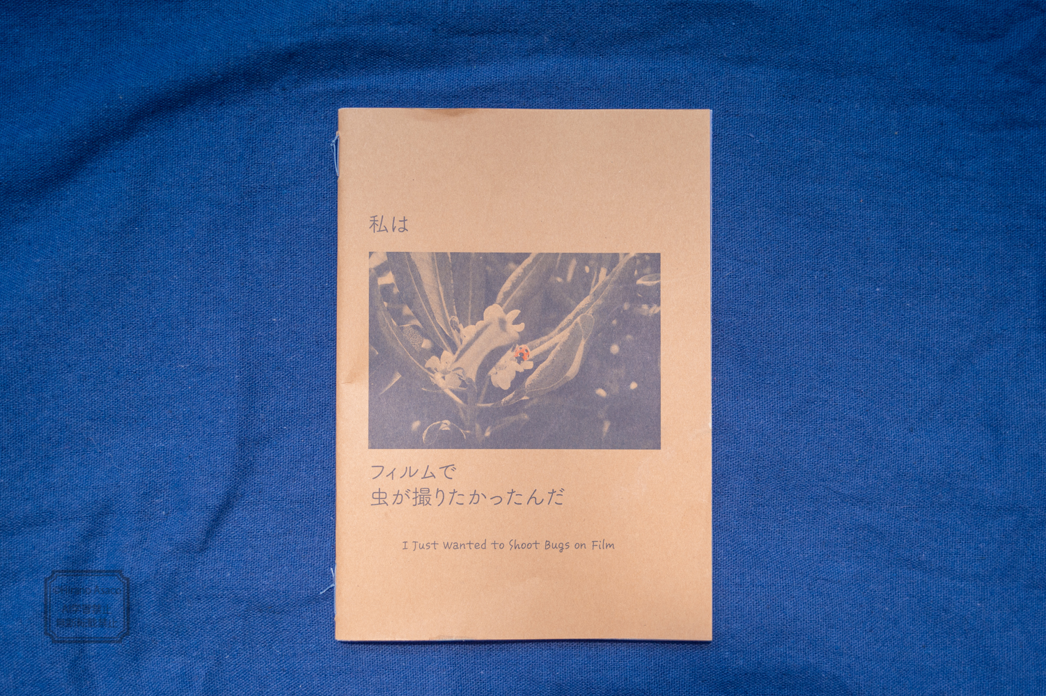 ZINEフィルム